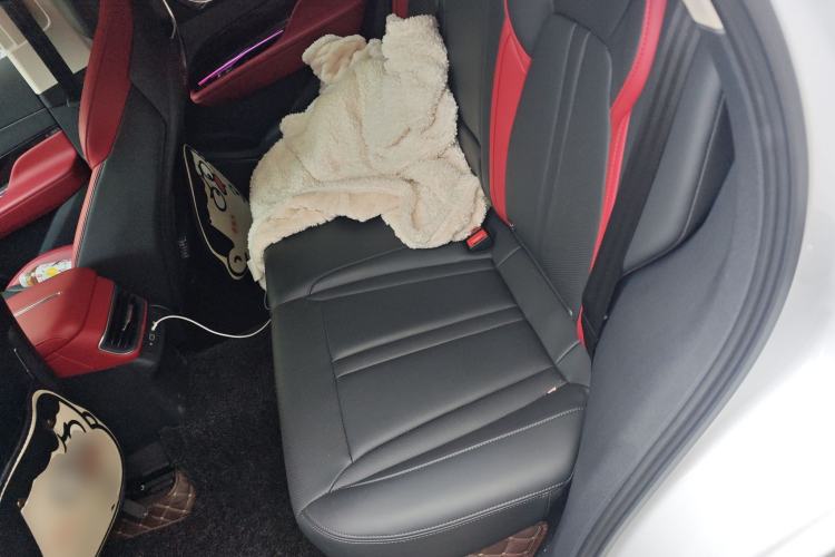Used Hongqi HS3 2023 1.5T Two-Wheel Drive Shanwei Edition Left Rear Seat