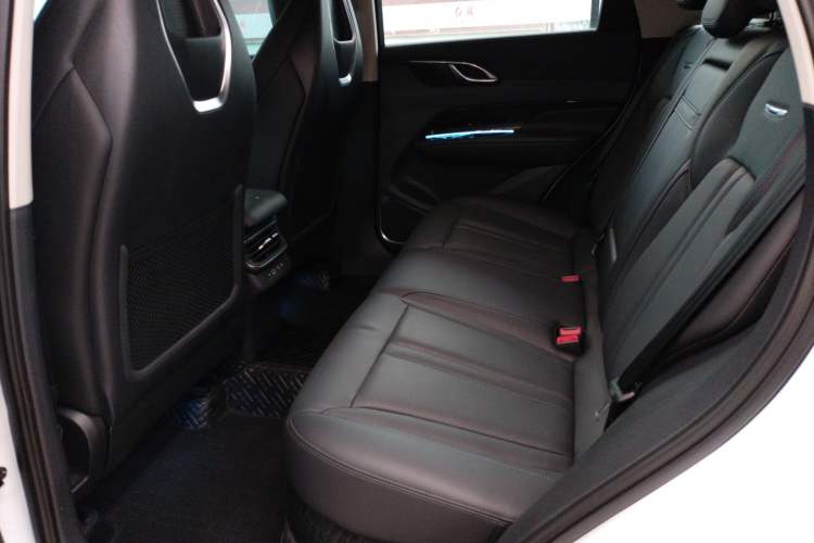 Used Hongqi HS3 2023 2.0T All-Wheel-Drive Youwei Version Left Rear Seat