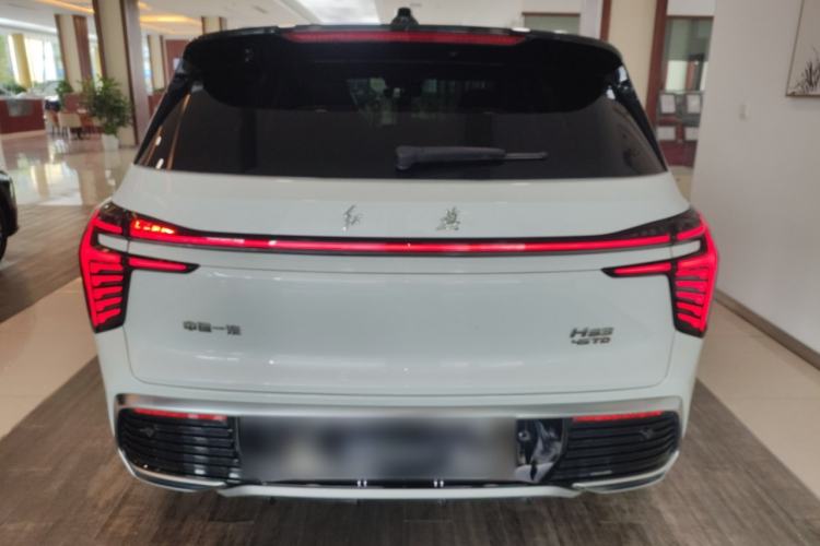 Used Hongqi HS3 2023 2.0T All-Wheel-Drive Youwei Version Rear