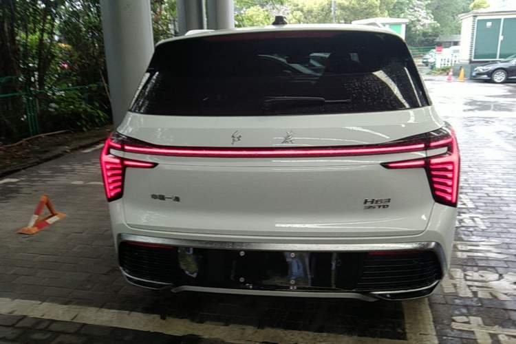 Used Hongqi HS3 2023 1.5T Two-Wheel Drive Shanwei Edition Rear