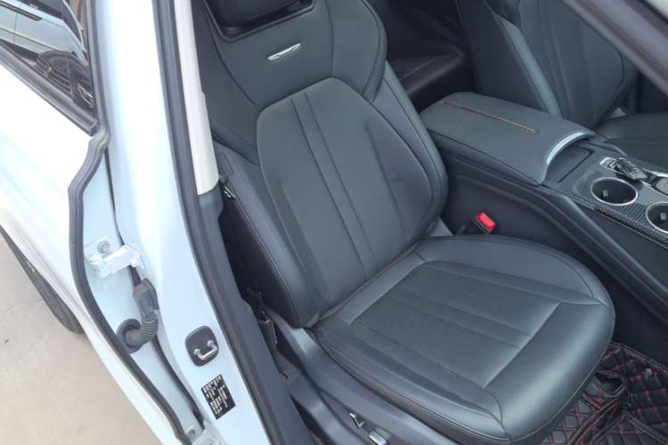Used Hongqi HS3 2023 1.5T Two-Wheel Drive Shanwei Edition Right Front Seat