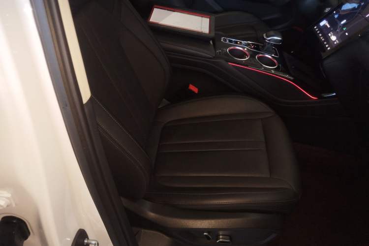 Used Hongqi HS3 2023 2.0T All-Wheel-Drive Youwei Version Right Front Seat