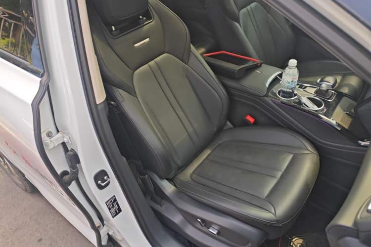 Used Hongqi HS3 2023 2.0T All-Wheel-Drive Youwei Version Right Front Seat