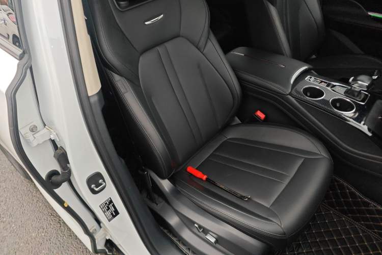 Used Hongqi HS3 2023 1.5T Two-Wheel Drive Shanwei Edition Right Front Seat