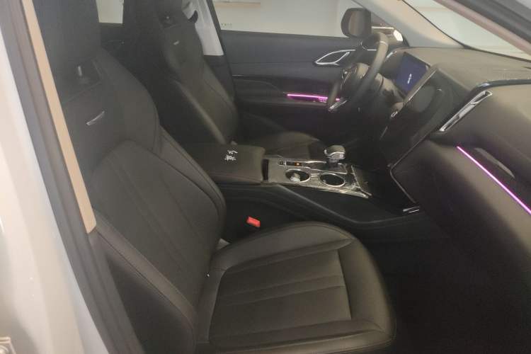 Used Hongqi HS3 2023 1.5T Two-Wheel Drive Shanwei Edition Right Front Seat