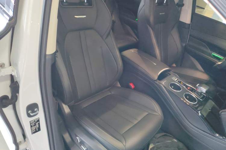 Used Hongqi HS3 2023 1.5T Two-Wheel Drive Shanwei Edition Right Front Seat