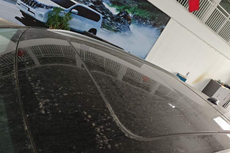 Used Hongqi HS3 2023 2.0T All-Wheel-Drive Youwei Version Roof