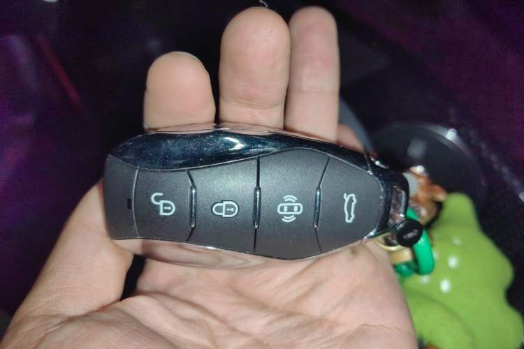 Used Hongqi HS3 2023 1.5T Two-Wheel Drive Shanwei Edition Vehicle Key