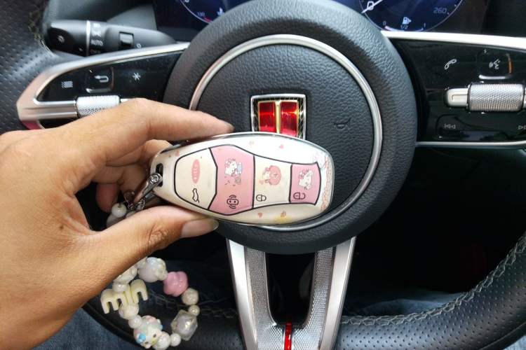 Used Hongqi HS3 2023 1.5T Two-Wheel Drive Shanwei Edition Vehicle Key