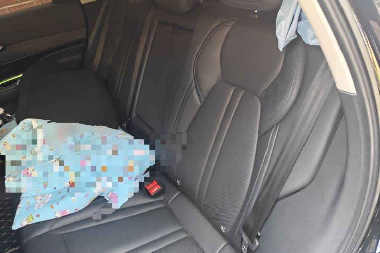 Used Hongqi HS3 2024 1.5T Shanwei Edition Left Rear Seat