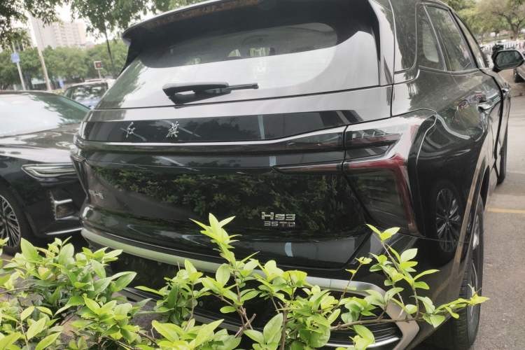 Used Hongqi HS3 2024 1.5T Shanwei Edition Rear