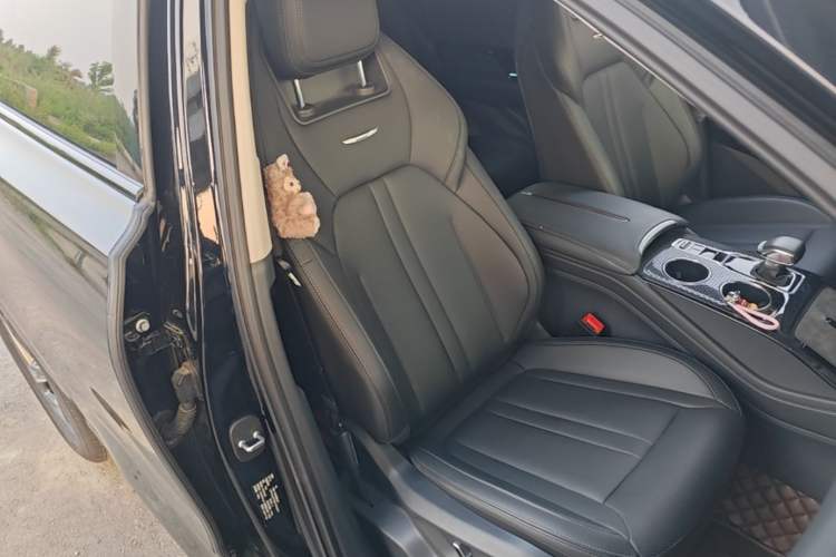 Used Hongqi HS3 2024 1.5T Shanwei Edition Right Front Seat