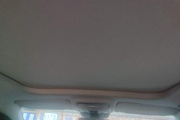 Used Hongqi HS3 2024 1.5T Zhiwei Edition Headliner
