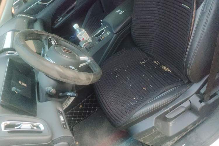 Used Hongqi HS3 2024 1.5T Zhiwei Edition Left Front Seat