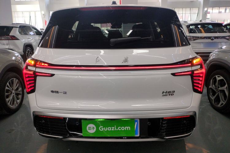 Used Hongqi HS3 2024 1.5T Shanwei Edition Rear