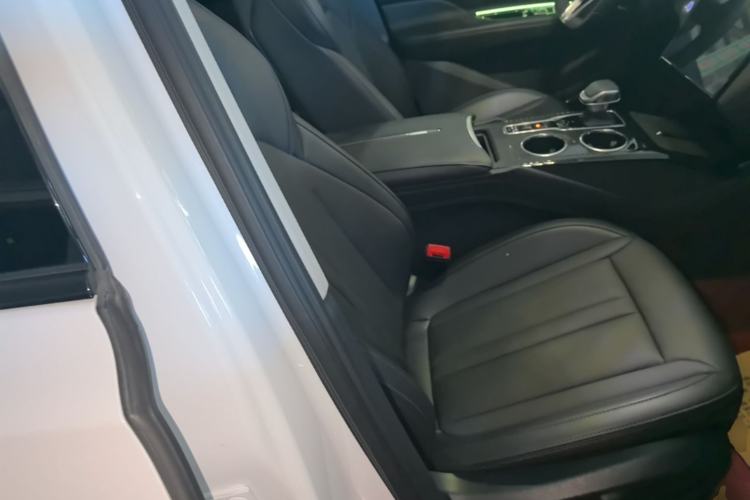 Used Hongqi HS3 2024 1.5T Shanwei Edition Right Front Seat
