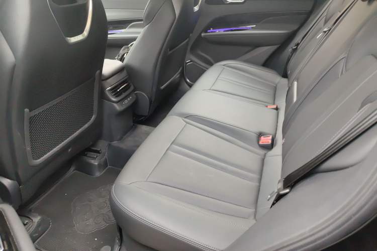 Used Hongqi HS3 PHEV 2024 PHEV 115km Jingwei Edition Left Rear Seat