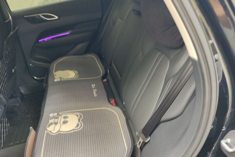 Used Hongqi HS3 PHEV 2024 PHEV 115km Jingwei Edition Left Rear Seat