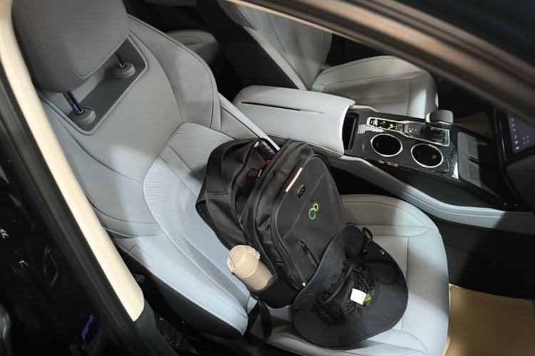 Used Hongqi HS3 PHEV 2024 PHEV 115km Jingwei Edition Right Front Seat