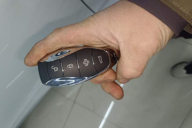 Used Hongqi HS3 PHEV 2024 PHEV 115km Jingwei Edition Interior 1