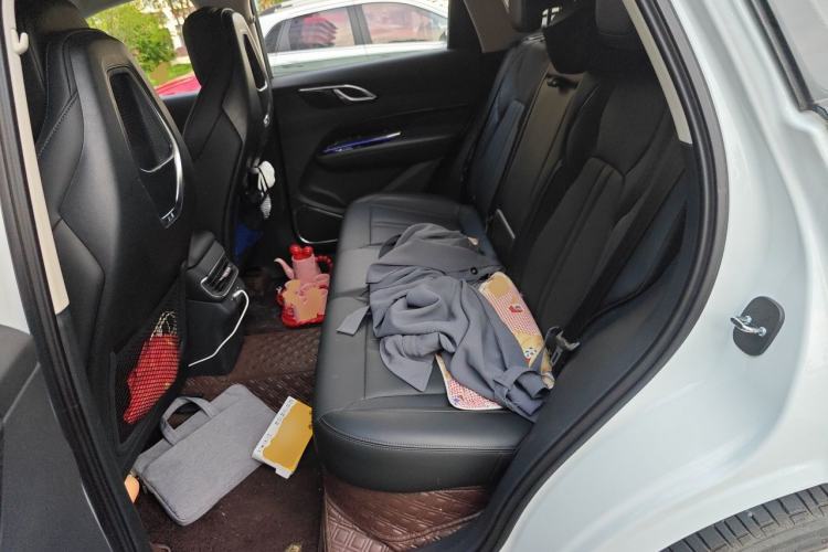 Used Hongqi HS3 PHEV 2024 PHEV 115km Jingwei Edition Left Rear Seat
