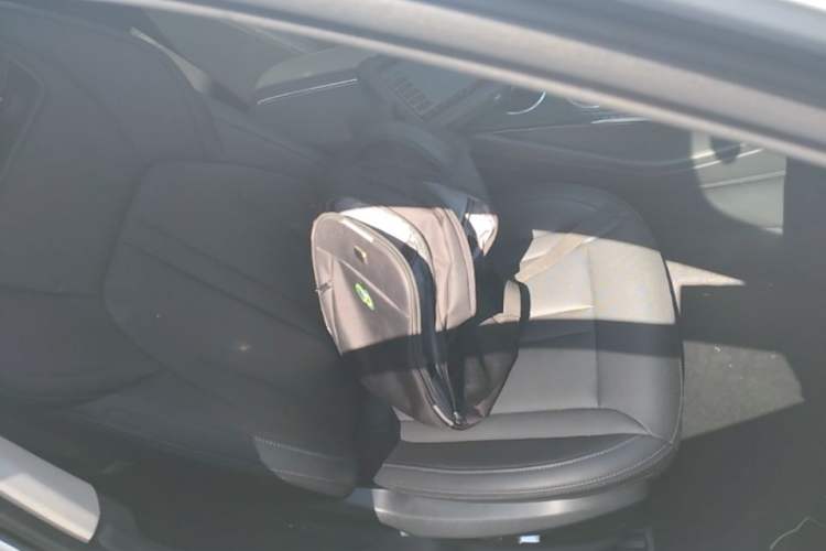 Used Hongqi HS3 PHEV 2024 PHEV 115km Jingwei Edition Right Front Seat