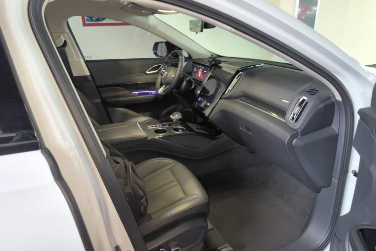 Used Hongqi HS3 PHEV 2024 PHEV 115km Jingwei Edition Right Front Seat