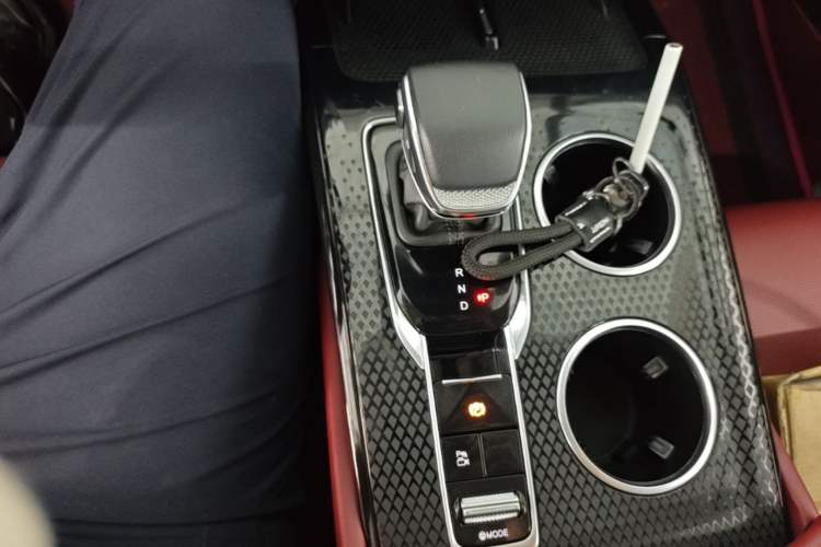 Used Hongqi HS3 PHEV 2025 Model 125km Jingwei PLUS 2 Millionth Anniversary Edition Gear Lever