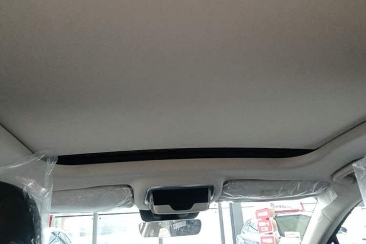 Used Hongqi HS3 PHEV 2025 Model 125km Jingwei 2 Millionth Anniversary Edition Headliner