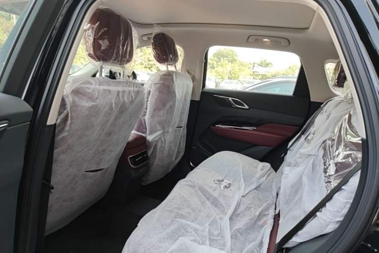 Used Hongqi HS3 PHEV 2025 Model 125km Jingwei 2 Millionth Anniversary Edition Left Rear Seat