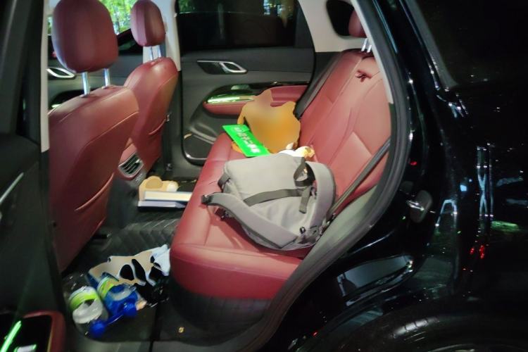 Used Hongqi HS3 PHEV 2025 Model 125km Jingwei PLUS 2 Millionth Anniversary Edition Left Rear Seat