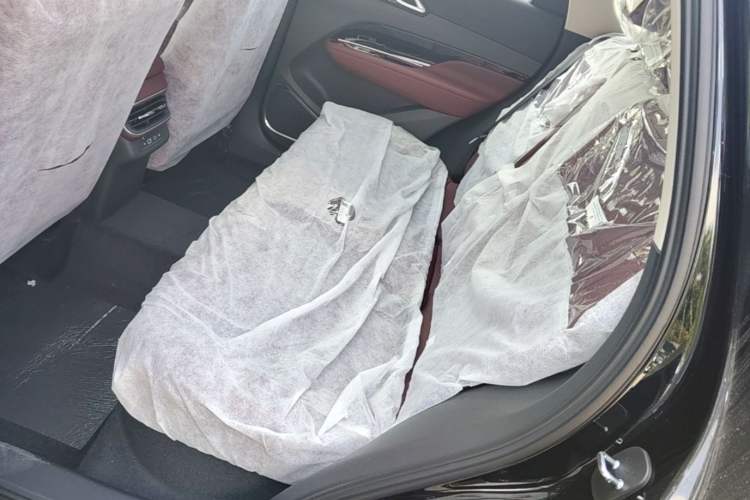 Used Hongqi HS3 PHEV 2025 Model 125km Jingwei 2 Millionth Anniversary Edition Left Rear Seat