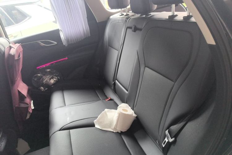 Used Hongqi HS3 PHEV 2025 Model 125km Jingwei PLUS 2 Millionth Anniversary Edition Left Rear Seat