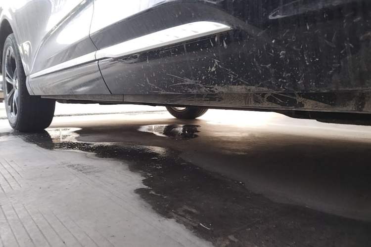 Used Hongqi HS3 PHEV 2025 Model 117km Jingwei Edition Left Side Sill