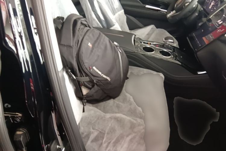 Used Hongqi HS3 PHEV 2025 Model 125km Jingwei 2 Millionth Anniversary Edition Right Front Seat