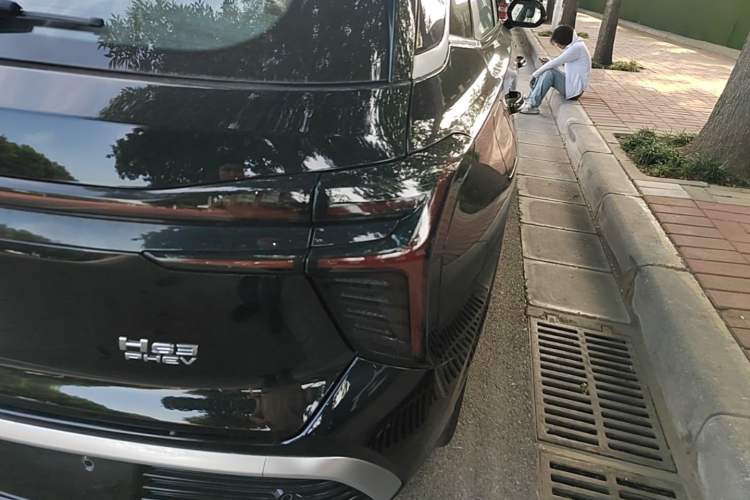 Used Hongqi HS3 PHEV 2025 Model 125km Jingwei 2 Millionth Anniversary Edition Right Rear Taillight