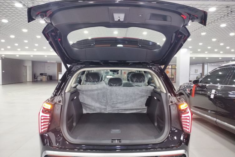 Used Hongqi HS3 PHEV 2025 Model 125km Jingwei 2 Millionth Anniversary Edition Trunk