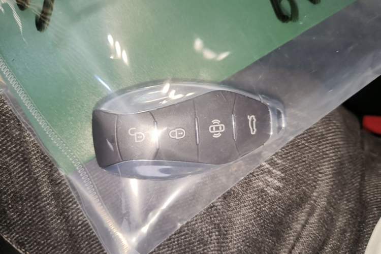 Used Hongqi HS3 PHEV 2025 Model 125km Jingwei 2 Millionth Anniversary Edition Vehicle Key