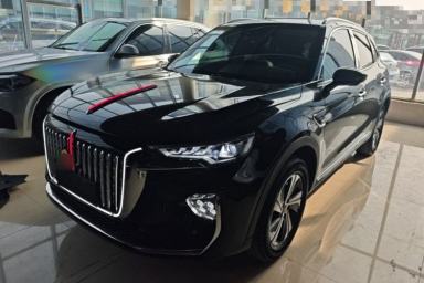 Used Hongqi HS5 2019 2.0T Smart Connect Flagship Edition
