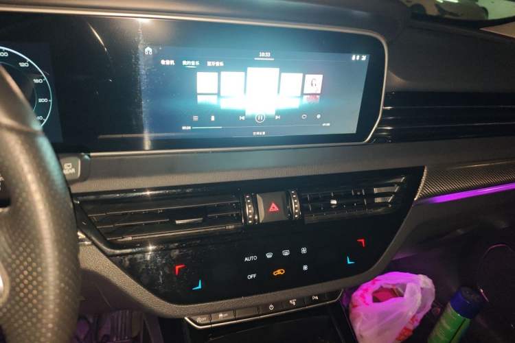 Used Hongqi HS5 2019 2.0T Smart Connect Flagship Edition Audio And AC Panel