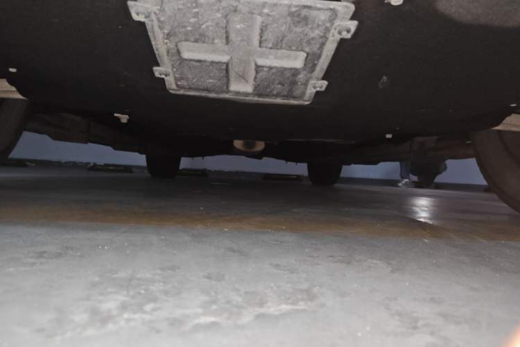 Used Hongqi HS5 2019 2.0T Smart Connect Flagship Edition Chassis Front