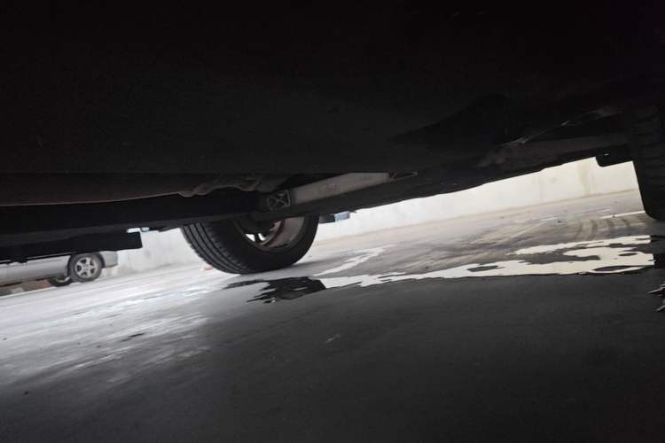 Used Hongqi HS5 2019 2.0T Smart Connect Flagship Edition Chassis Rear Right
