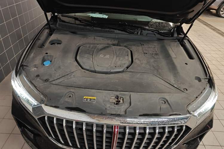 Used Hongqi HS5 2019 2.0T Smart Connect Flagship All-Wheel-Drive Version Engine Bay