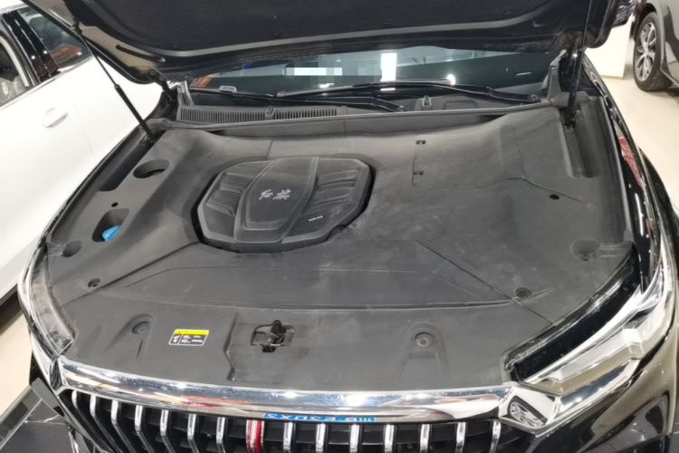 Used Hongqi HS5 2019 2.0T Smart Connect Flagship All-Wheel-Drive Version Engine Bay