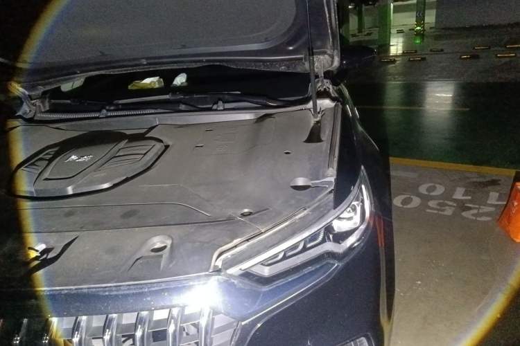 Used Hongqi HS5 2019 2.0T Smart Connect Flagship All-Wheel-Drive Version Engine Bay Left