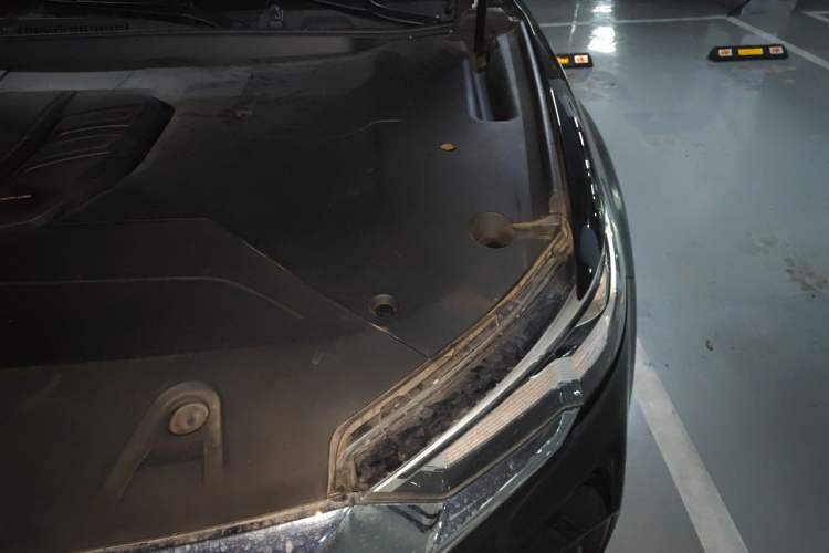 Used Hongqi HS5 2019 2.0T Smart Connect Flagship Edition Engine Bay Left