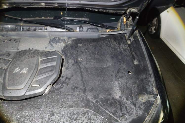 Used Hongqi HS5 2019 2.0T Smart Connect Flagship All-Wheel-Drive Version Engine Bay Left
