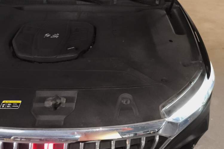 Used Hongqi HS5 2019 2.0T Smart Connect Flagship Edition Engine Bay Left