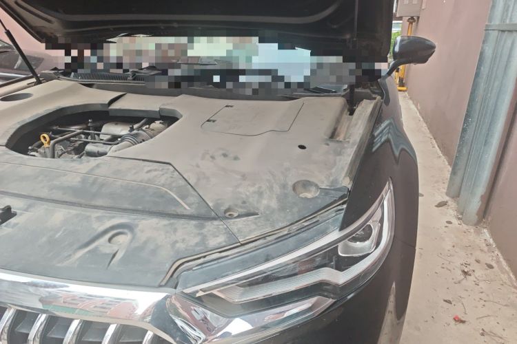Used Hongqi HS5 2019 2.0T Smart Connect Flagship All-Wheel-Drive Version Engine Bay Left