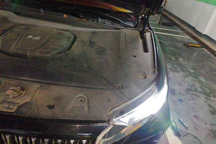 Used Hongqi HS5 2019 2.0T Smart Connect Flagship All-Wheel-Drive Version Engine Bay Left